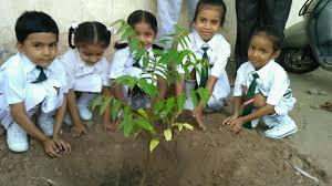 Plantation in School